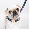 image:imagekate spade new york 6ft Dog Leash Heavy Duty Leash for Female or Male Dogs Cute Pet Leash with Gold Metal Hardware Long Dog Lead for Medium and Large Watercolor DotWatercolor Dot