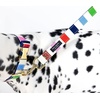 image:imagekate spade new york 6ft Dog Leash Heavy Duty Leash for Female or Male Dogs Cute Pet Leash with Gold Metal Hardware Long Dog Lead for Medium and Large Watercolor DotAdventure Stripe