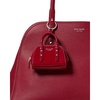Dark Scarlet Nano Carryall Bag
