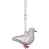 Platinum Grey Perry Pigeon