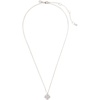 Clear/Silver