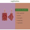 image:imagekate spade new york Astrology Luggage Tag Set of 2 AquariusSagittarius